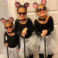 <p>Three blind mice. See how they run. (Nicolle Rivero-Florio)</p>