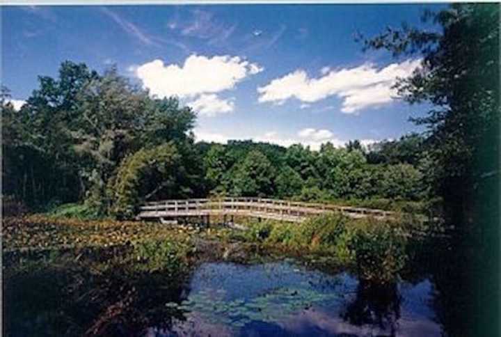 Teatown will offer tours of Wildflower Island during its annual Anniversary Plant Sale on May 6 and 7.