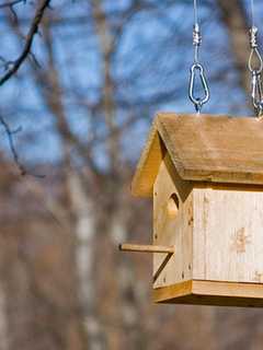 Build A Birdhouse, Bird Feeder At The Demarest Nature Center