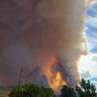 COVID, Murder Hornets, What's Next? Try Fire Tornadoes
