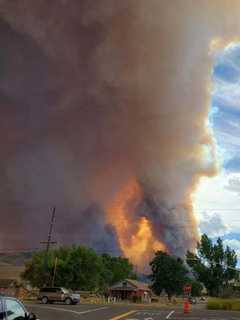 COVID, Murder Hornets, What's Next? Try Fire Tornadoes
