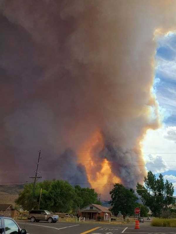 COVID, Murder Hornets, What's Next? Try Fire Tornadoes