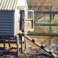 <p>Flooding at Kimmy's Safe Haven Rescue in Egg Harbor City, NJ.</p>