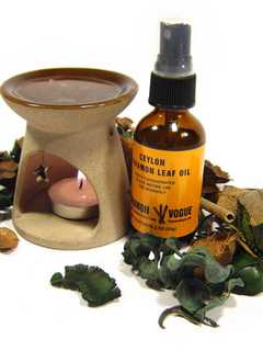 Learn About Aromatherapy at Bridgeport Public Library