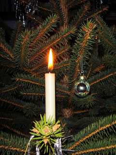 Tree Lighting Events Bring Holidays To Scarsdale
