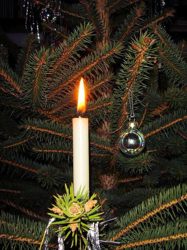 Tree Lighting Events Bring Holidays To Scarsdale