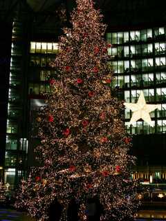 Watch Christmas Tree Lighting, See Santa At Veterans Park In Shelton