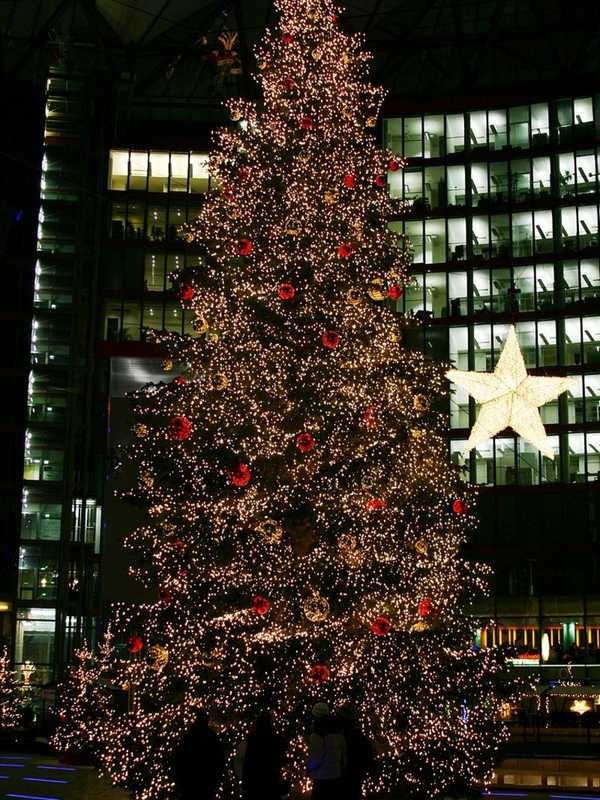Watch Christmas Tree Lighting, See Santa At Veterans Park In Shelton