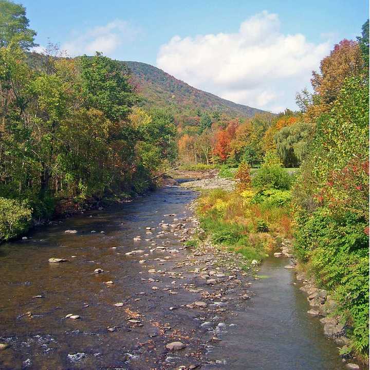 A man&#x27;s body was found floating in the Esopus Creek.