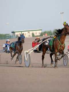 Yonkers Raceway 'Betting On A New Audience,' Report Says