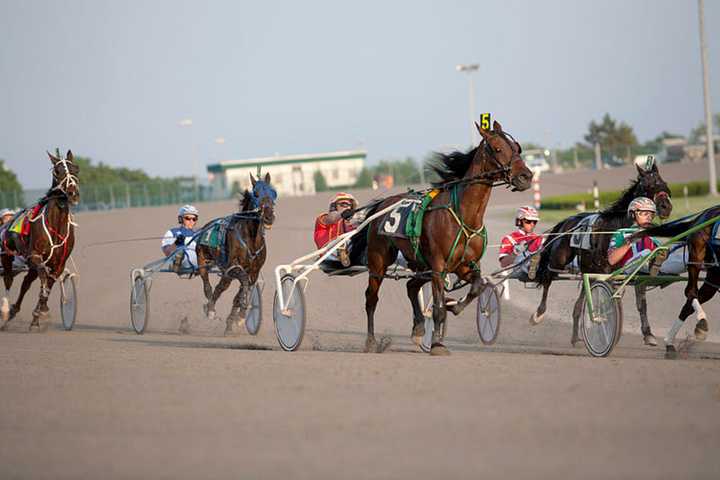 Harness racing at Yonkers Raceway.