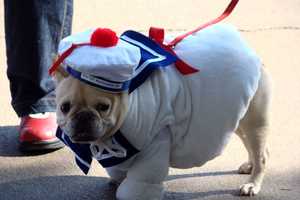 Celebrate 'Halloween With Paws' In Fort Lee