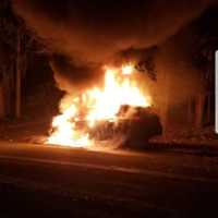 <p>A car burst into flames after the driver lost control and struck a utility pole.</p>