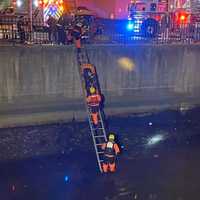 <p>Firefighters rescue a man from the Elizabeth River Sunday evening.</p>