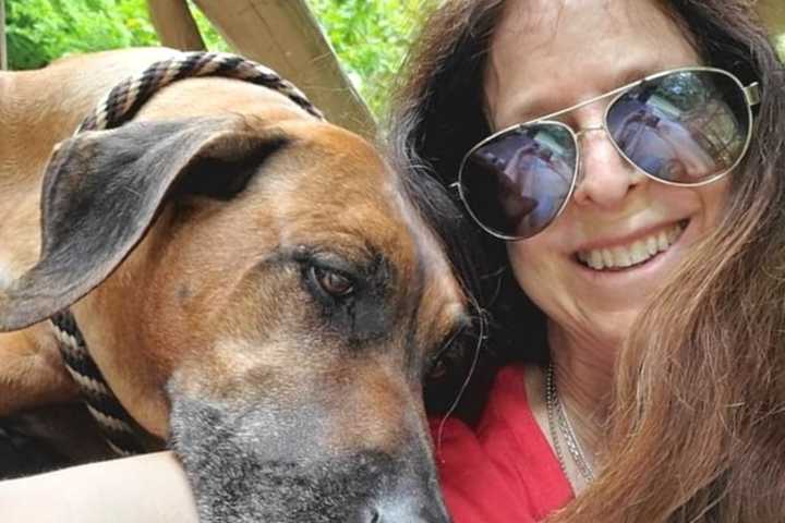 State Asks Judge To Stop Purported Animal Charity Run By Wyckoff Woman That Raised Millions