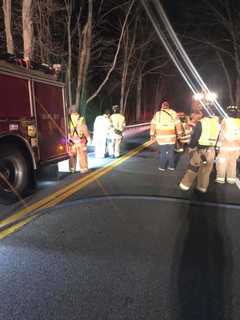 Horse Killed After Being Hit By Vehicle On Roadway In Northern Westchester