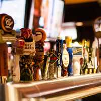 <p>There are more than two dozen beers available at the Brazen Fox in White Plains.</p>