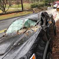 Driver Extricated After Tree Falls On Pickup Truck In New Canaan