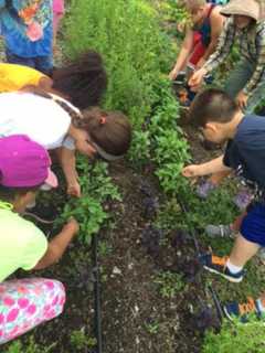 FDR Home Features Community Supported Agriculture Workshop, Garden Tour