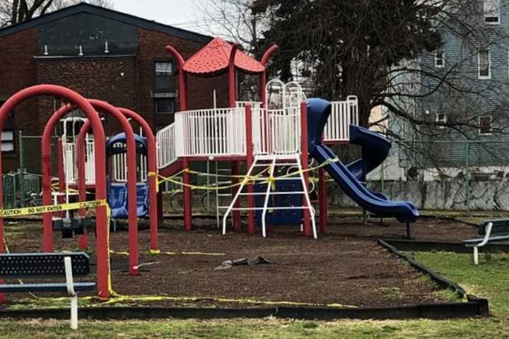 SEE ANYTHING? Swastikas Spray-Painted Throughout Clifton Park