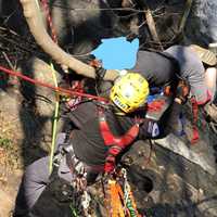 <p>The teen -- who was not injured but couldn&#x27;t move -- was on a branch of a tree sticking out of the side of a cliff approximately 50 or 60 feet above the water at the base of the dam.</p>