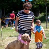 <p>Petpalooza returned to Neperan Park on June 25.</p>