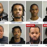 <p>These eight Philadelphia residents are accused of belonging to a gun trafficking organization, prosecutors say.</p>