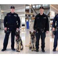 <p>FROM LEFT: PAPD Officer Sean Lynch &amp; Bruce, PAPD Officer John Adams &amp; Amo, PAPD Officer Gary Zintl &amp; Mimmo, PAPD Officer Kevin Gallagher &amp; Mag, PAPD Officer Kirk Kouzis &amp;  Stuey</p>