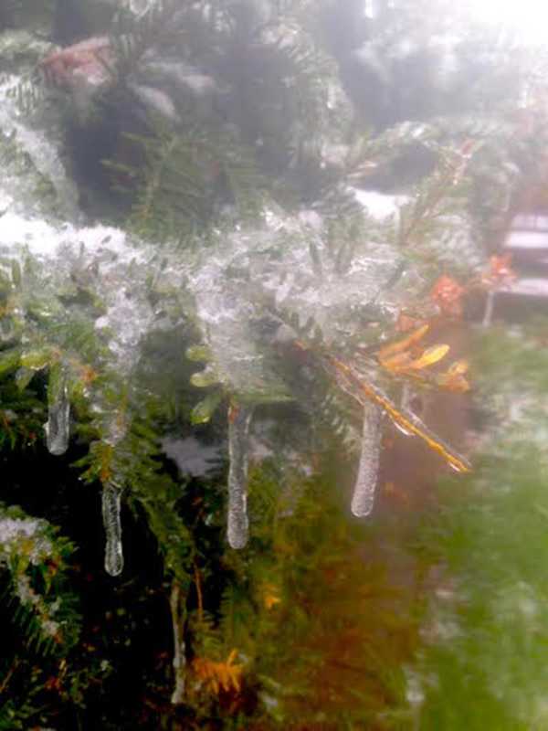 New Freeze Warning Issued For Bridegport As Cold Snap Continues
