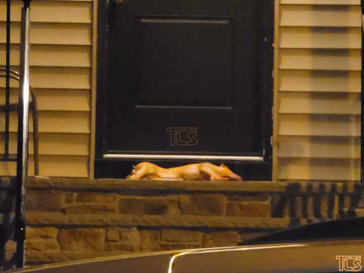 A pig carcass was left on the doorstep of a local Lakewood rabbi over the weekend.