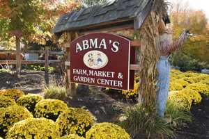 Valley Hospital Heads To The Farm For Annual 'Pink Day'