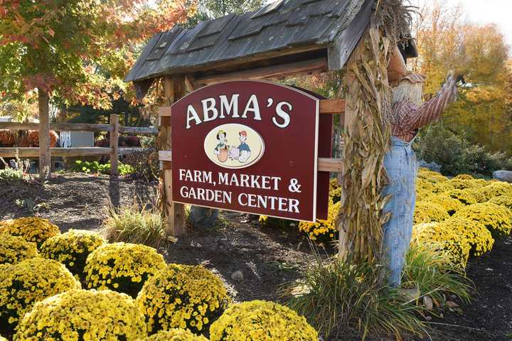 Valley Hospital Heads To The Farm For Annual 'Pink Day'