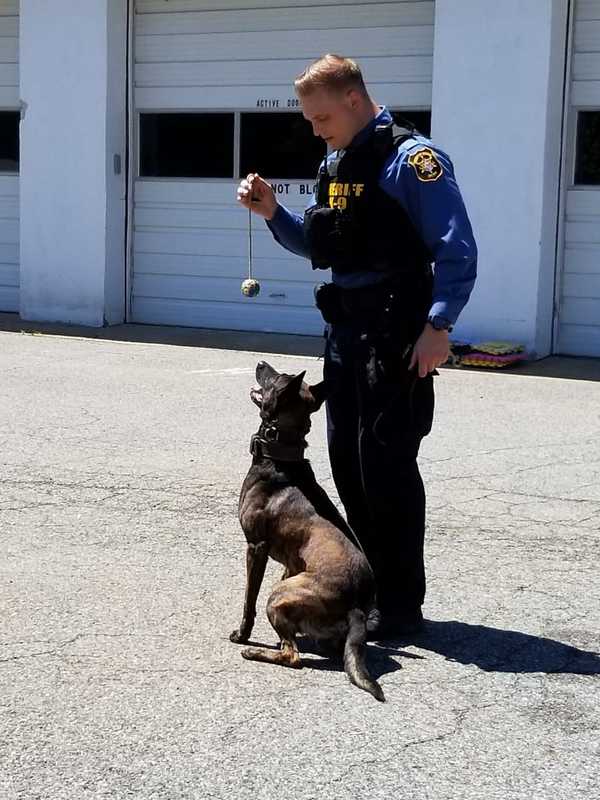 6-Hour Search For Suspect Hiding In House Ends With Help From Morris County K-9 Officer