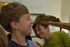 Holmes Students Welcome Animal Embassy To The Classroom In Darien