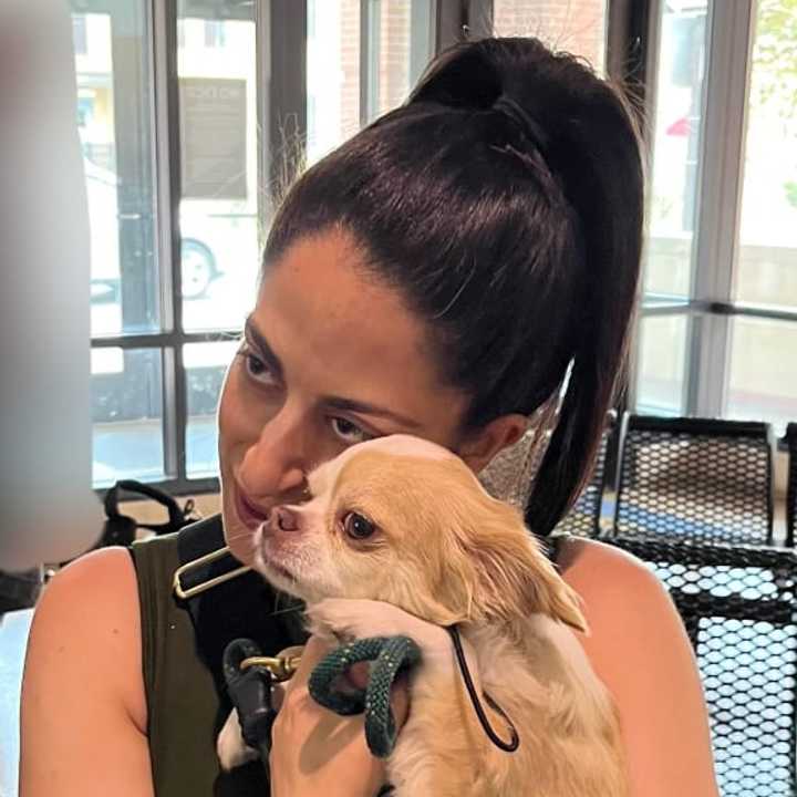 Alejandro snuggles up with his owner five days after someone stole him from outside of a Whole Foods in Boston.