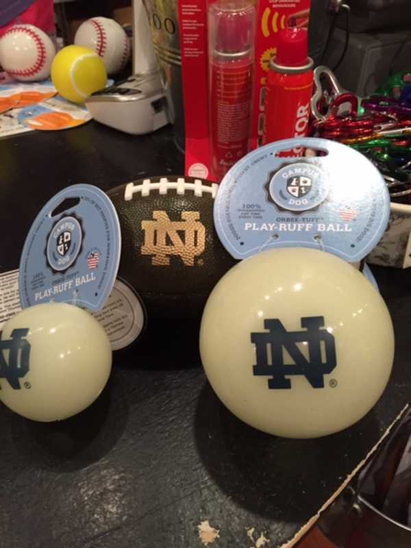 All Paws In Rye Selling Mini Footballs