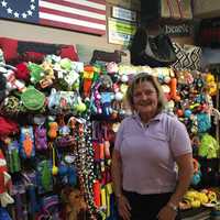 All Paws In Rye Thrives Thanks To Owner's Pet Expertise