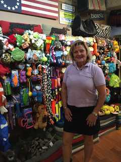 All Paws In Rye Thrives Thanks To Owner's Pet Expertise