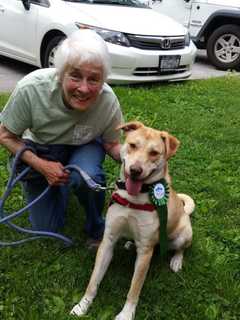 Alvin Is SPCA Pet Of The Week