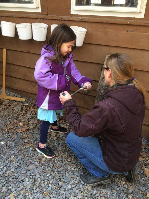 Bowdoin To Host Pancake Breakfast, Maple Open House To Kick Off Spring