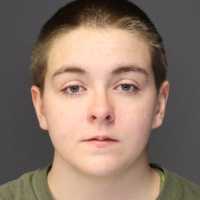 Orangeburg Woman Caught Driving Stolen Vehicle In Palisades, Police Say