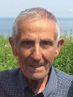 Angelo Zeolla, 82, Of Eastchester