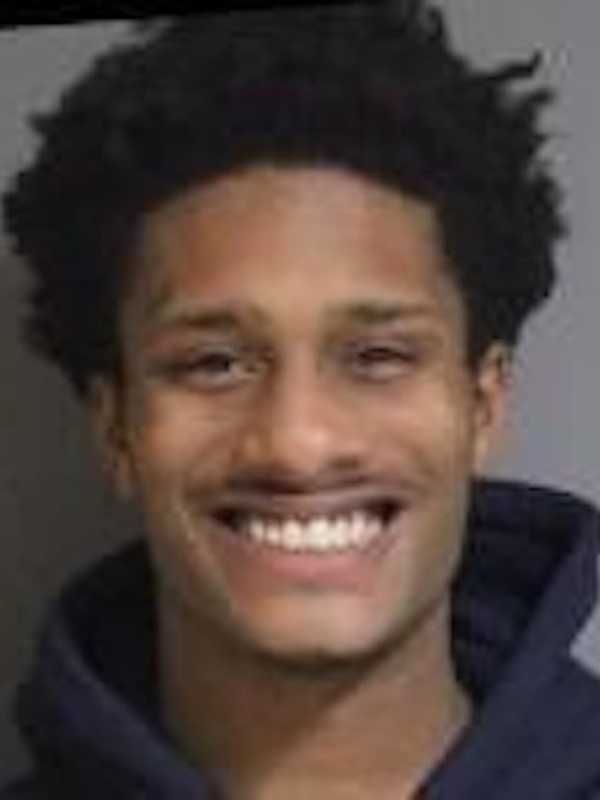 Man Had Illegal Handgun In North Salem Domestic Dispute, Police Say