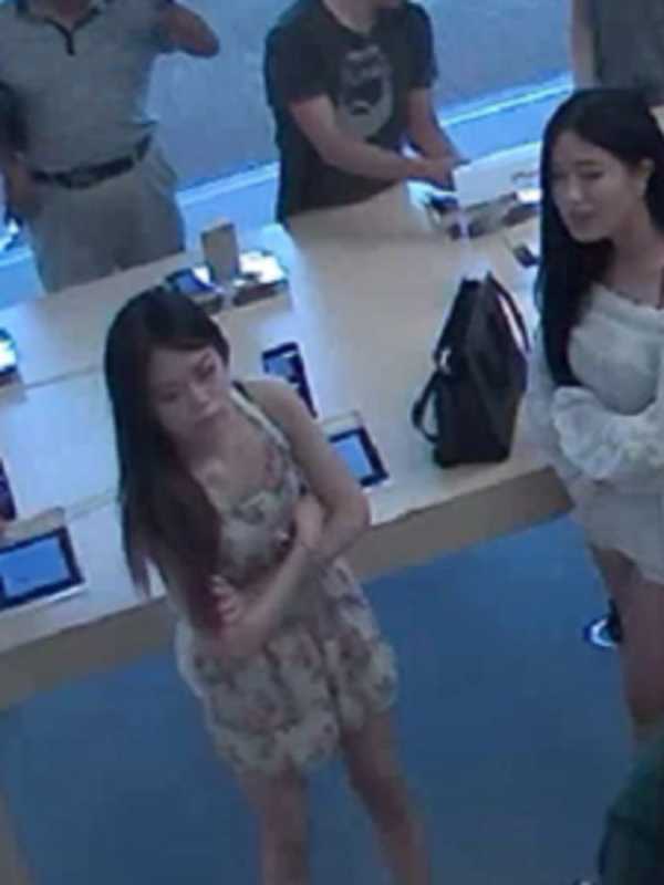 Police Seek Suspects In Westchester Apple Store ID Theft 