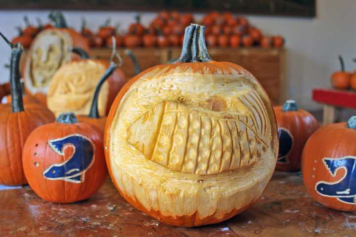 A Pumpkin Decorating Station, where guests can paint and a master carver will carve, is part of the fun during the Maritime Aquarium’s Aqua-Scarium Oct. 22-23 and 29-30.