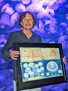 Maritime Aquarium Displays Rowayton Artist Lynn Stephens Massey