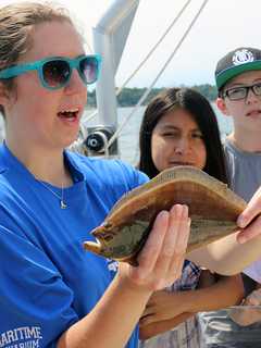 Explore Long Island Sound On Maritime Aquarium Cruises