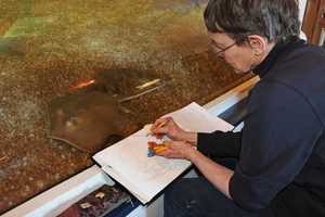 Learn To Draw Marine Creatures At Maritime Aquarium