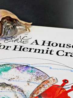 Norwalk's Maritime Aquarium Offers Discounts For Book Donations