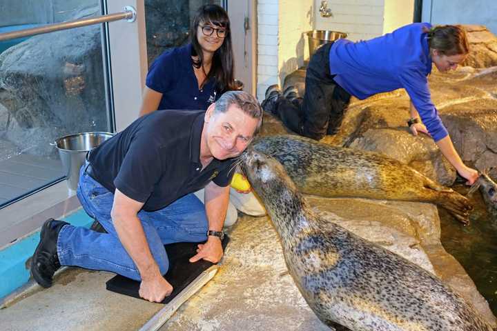 Veterans Day Salute From One Navy Seal To Another At Maritime Aquarium